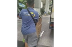 脑椅如何安全集运？实测3层防护方案pg电